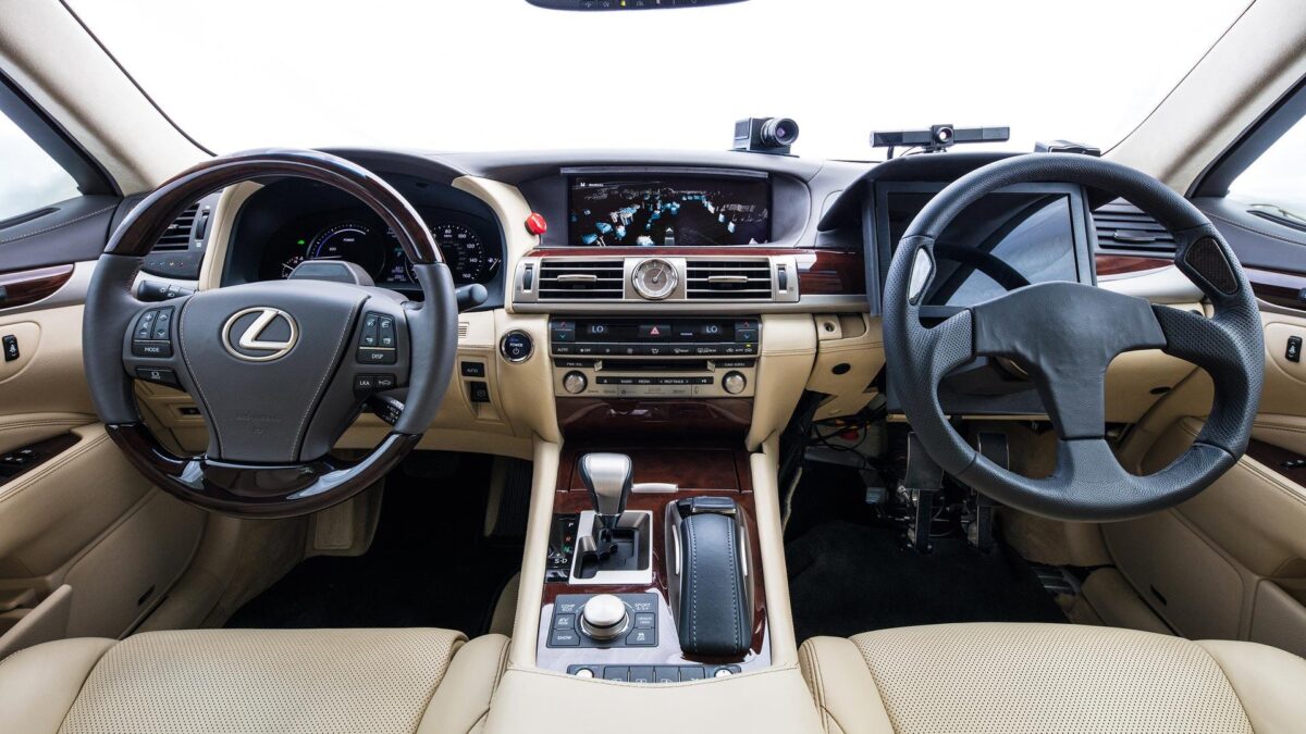 История: метаморфозы движения