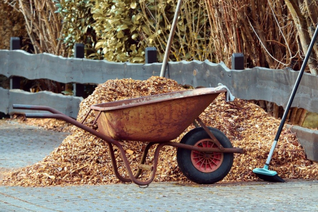 Латвия: здесь торгуют людьми