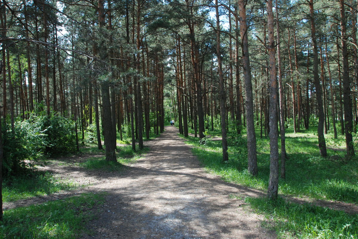 Эстония: хреновый план