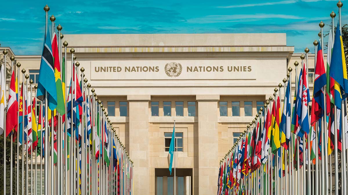 ООН: кто будет голодать