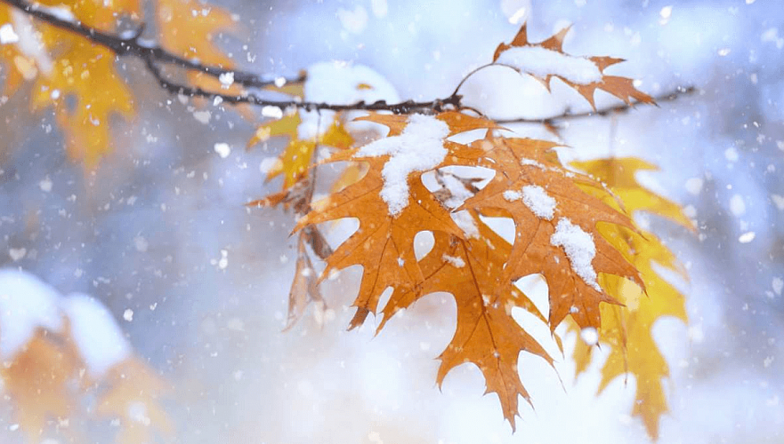 Погода: хмурь никуда не уходит