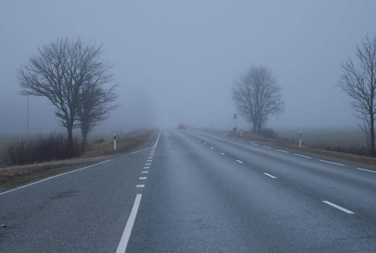 Погода: туман и небольшие осадки