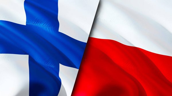 НАТО: Финляндия и Польша возглавят усилия