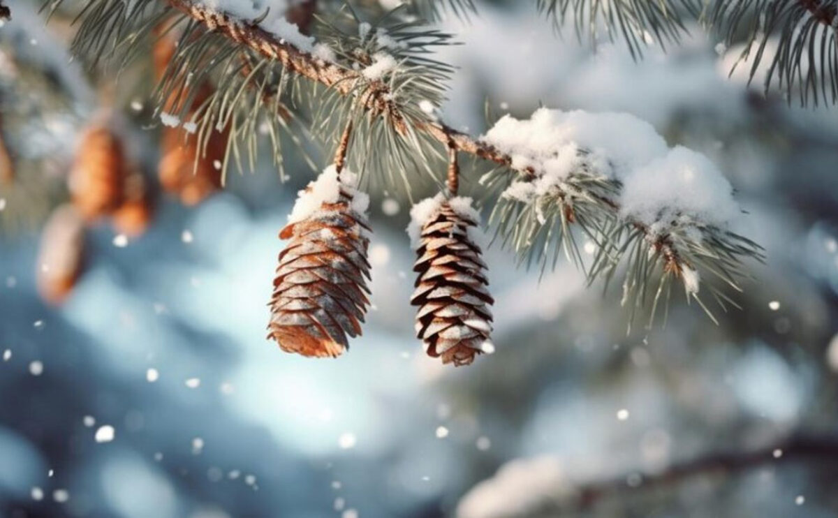 Погода: прояснения незначительны