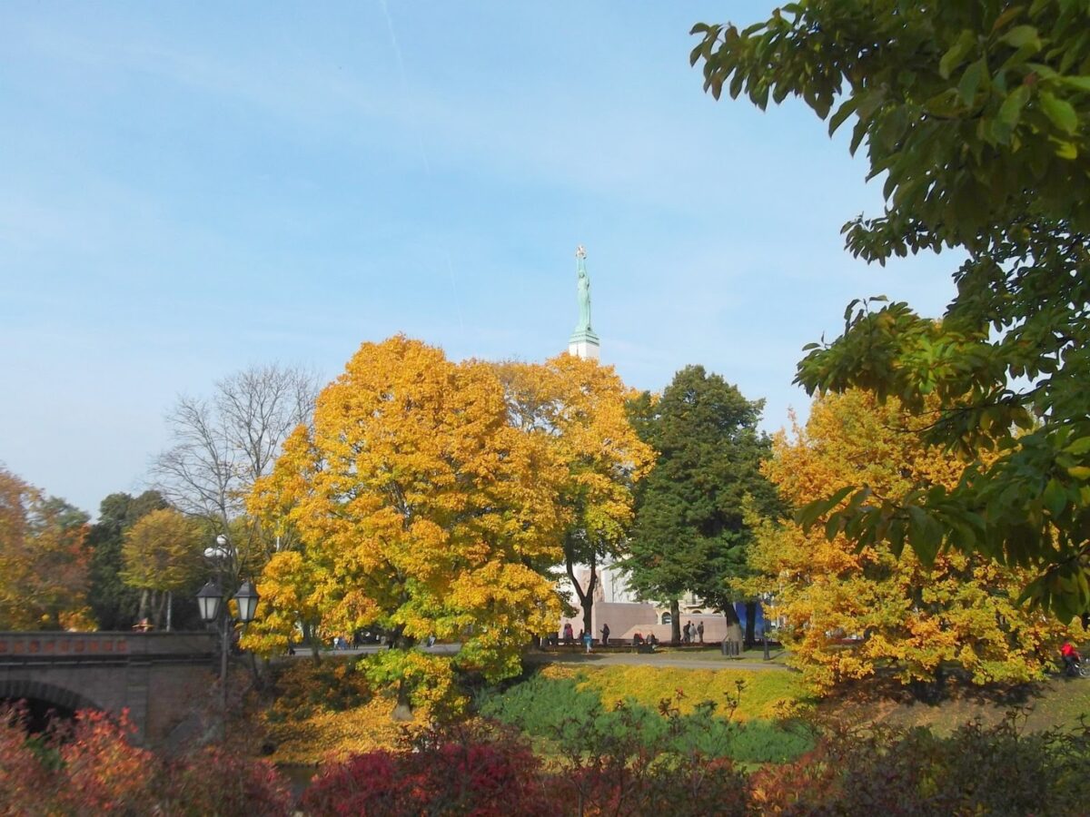 Рига: деревьев станет больше