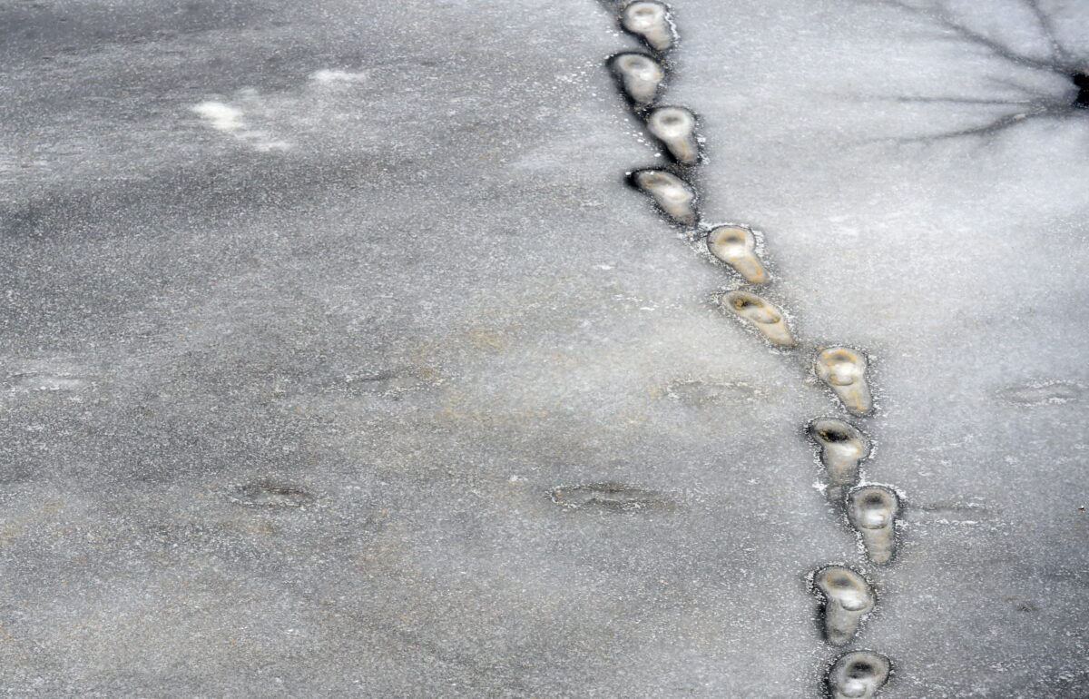 Рига: выходим на лёд, но всё же осторожно и не везде