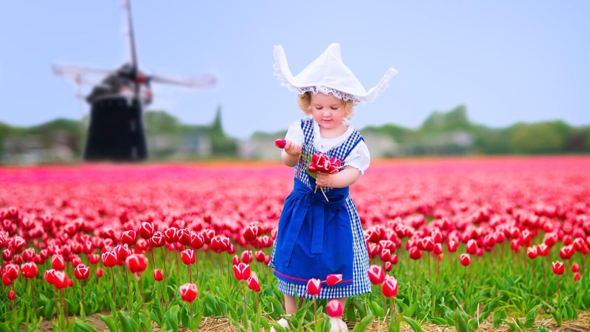 Нидерланды: давай делиться!