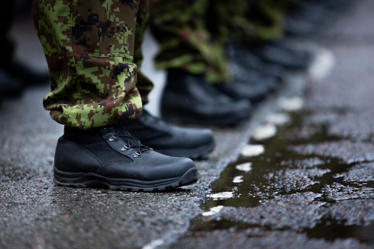 Эстония: если Дания попросит, отправим военных