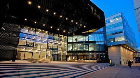 Таллин: учиться политике