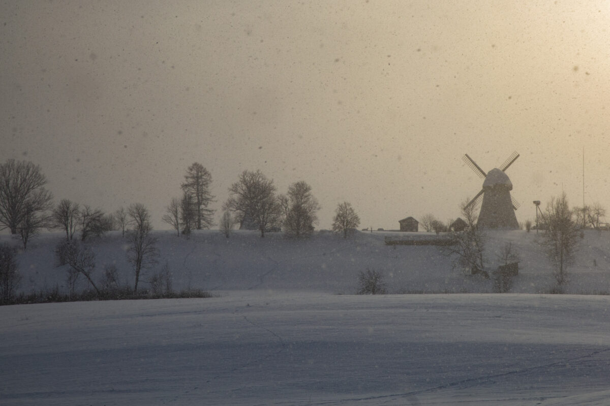 Латвия: морозы пока не угрожают озимым