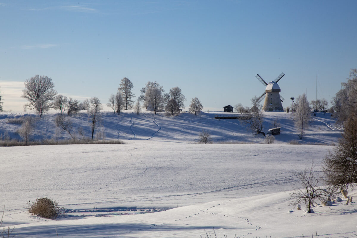 Погода: под жёлто-оранжевым знаменем холода