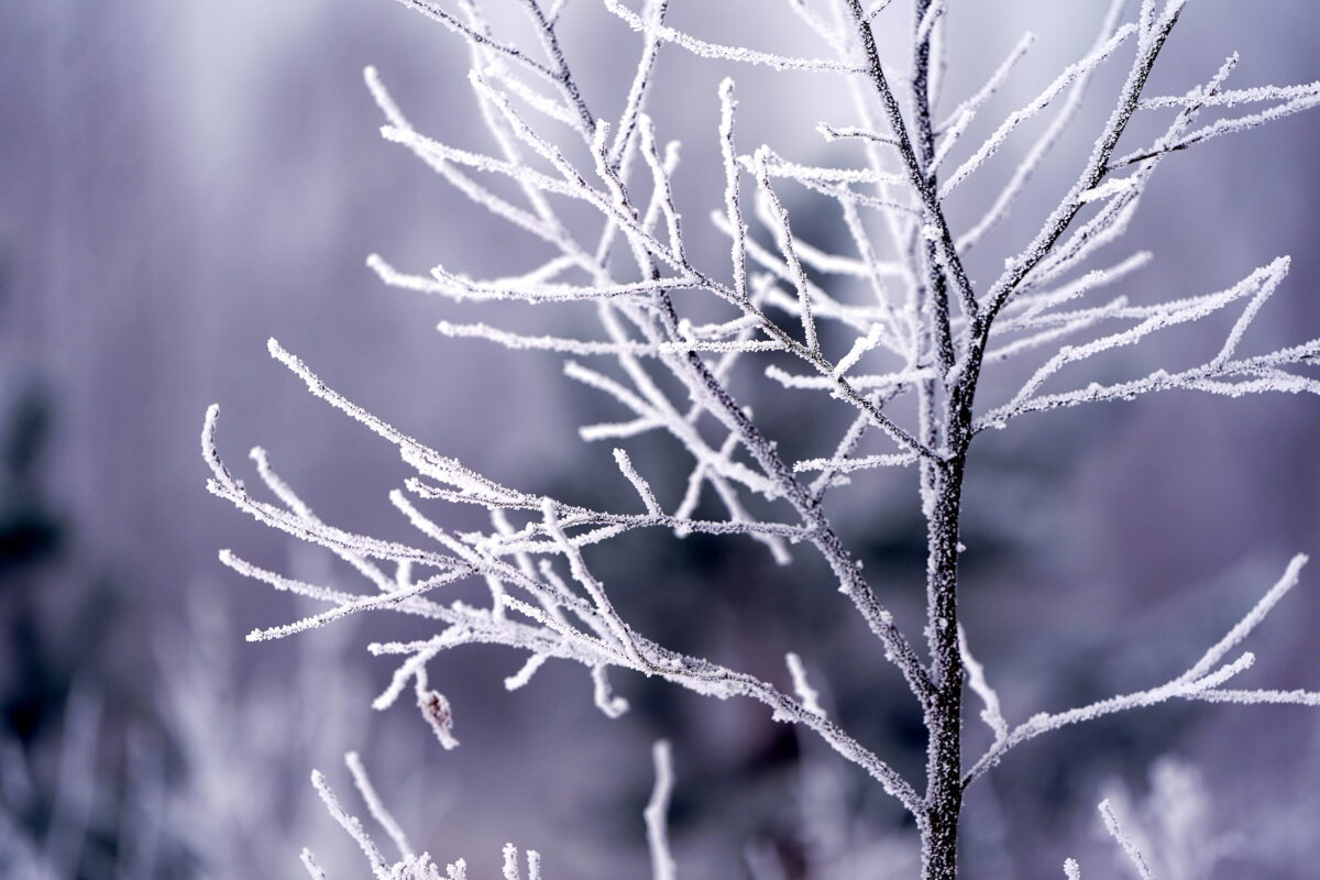 Латвия: возвращение холодов