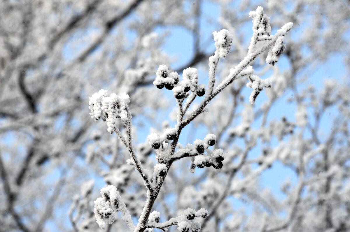 Погода: так же морозно и так же солнечно