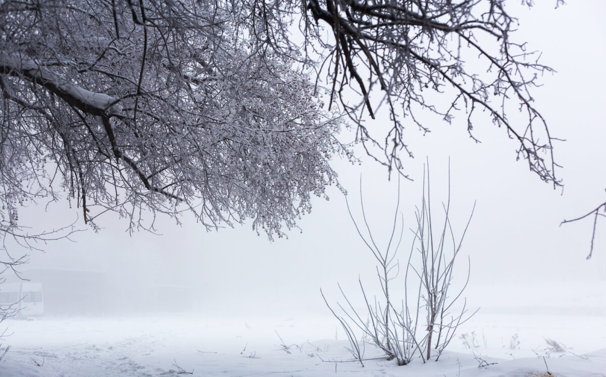 Погода: люто-холодно...