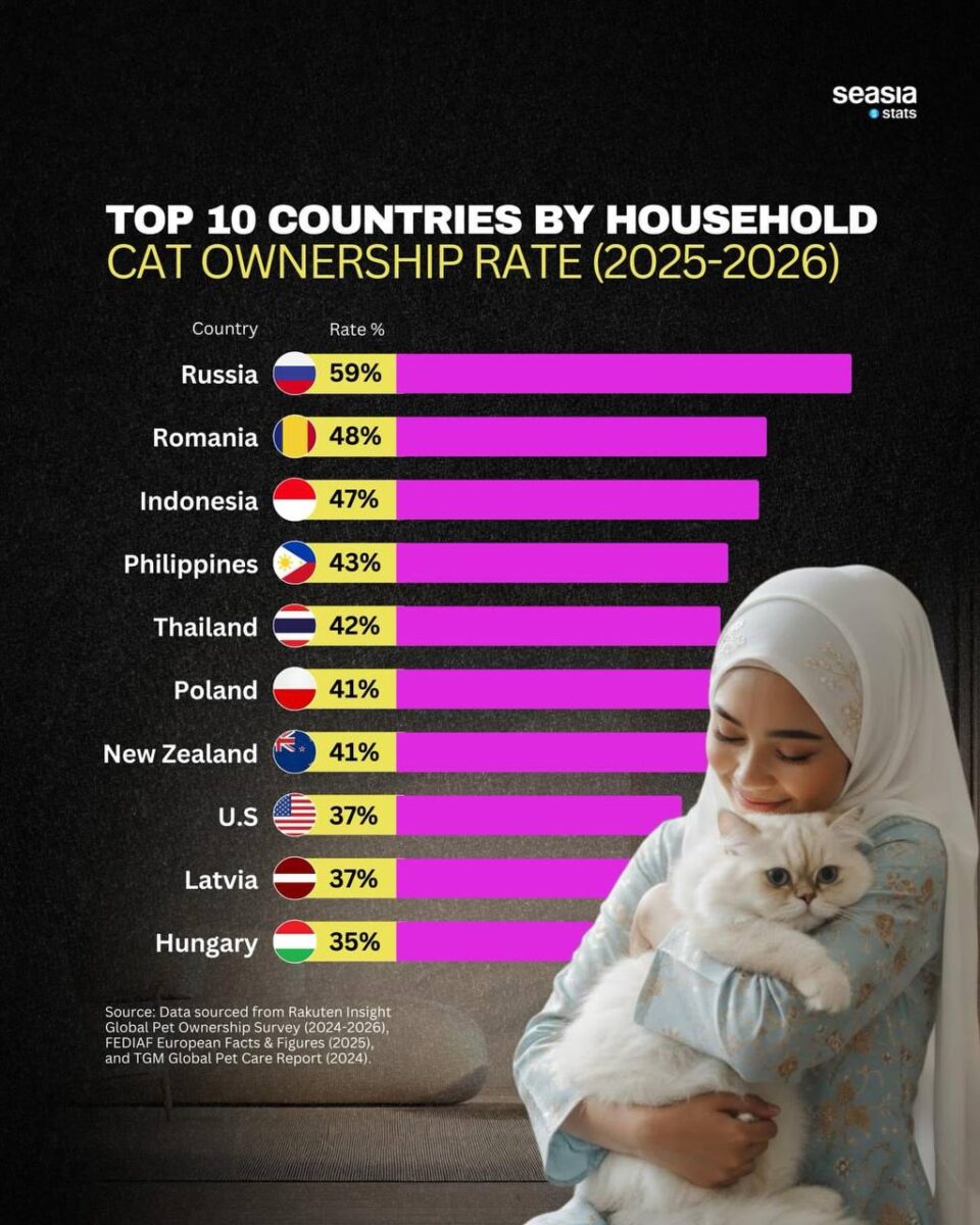 Латвия: в мировой десятке любителей кошек