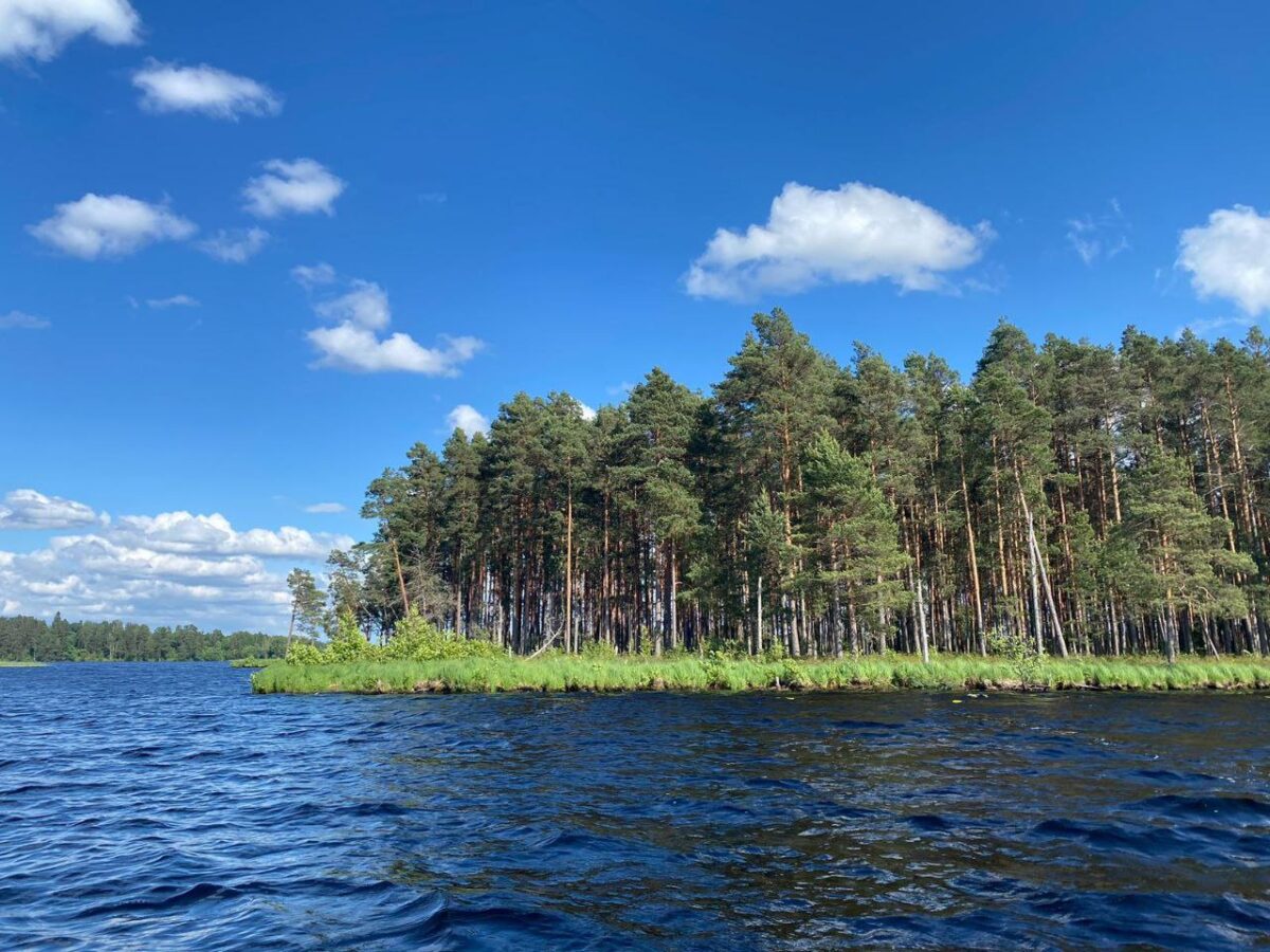 ЕС: приграничью с РФ помогут деньгами, но не своими