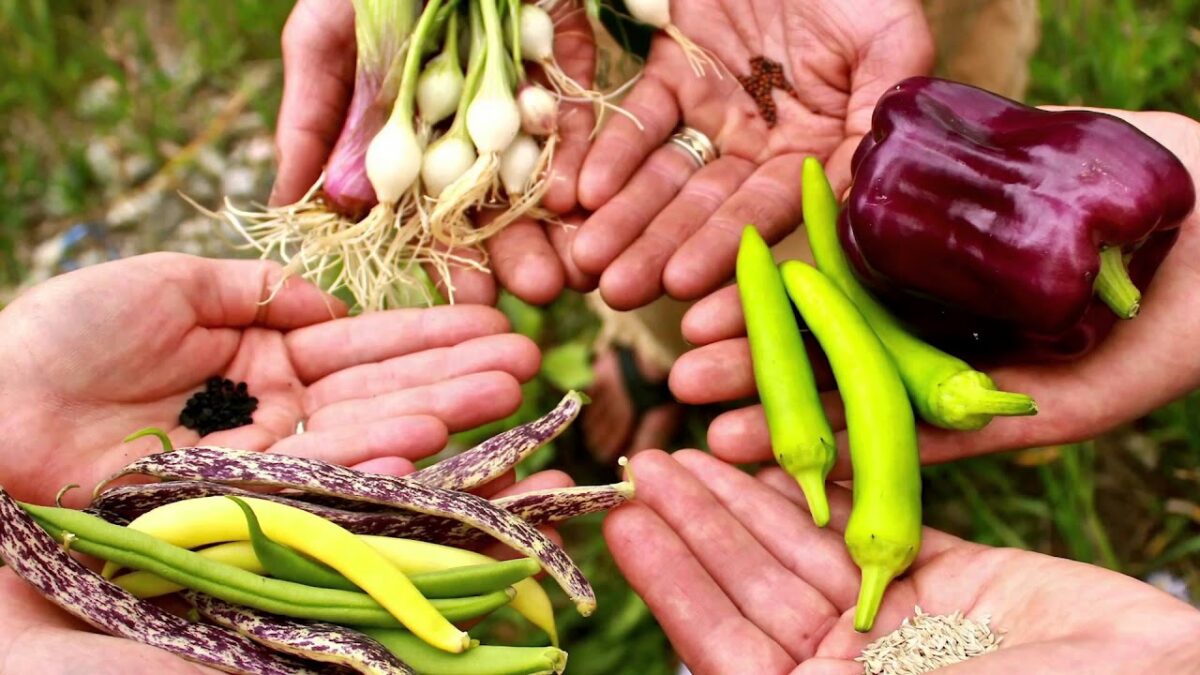 Рига: ярмарка семян