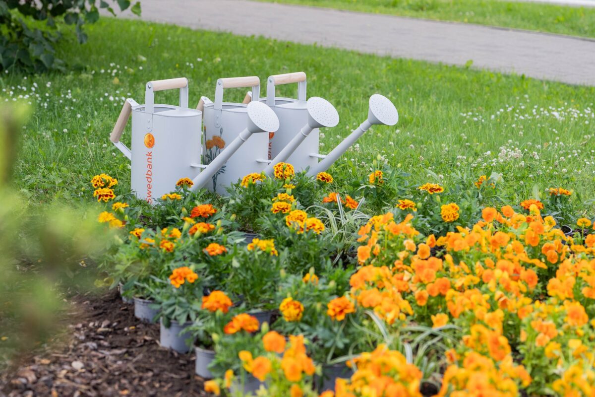 Латвия: не пользуешься счётом? Не плати!