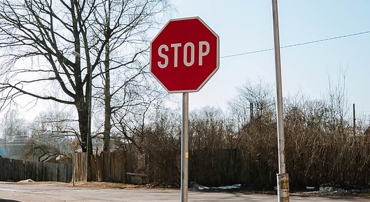 Эстония: Пушкина уберут с городских остановок