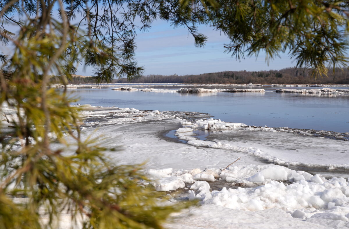 Латвия: уровень снижается