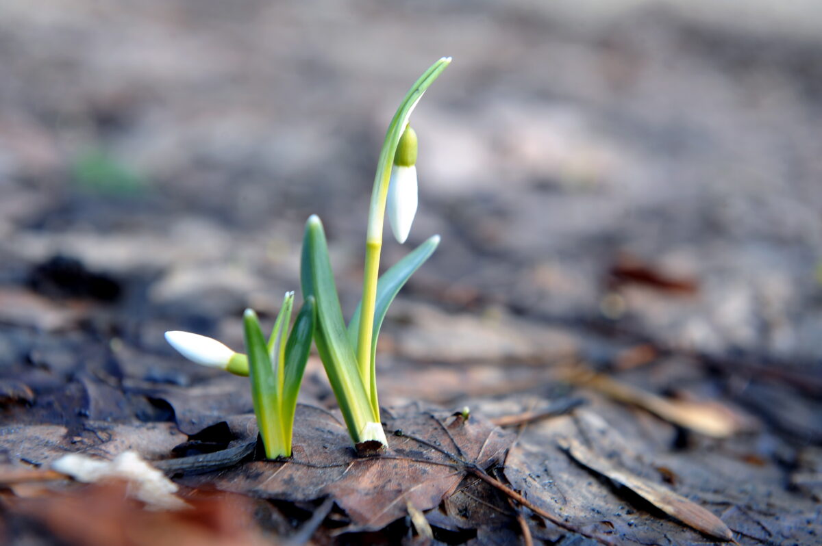 Латвия: зима не хочет уходить