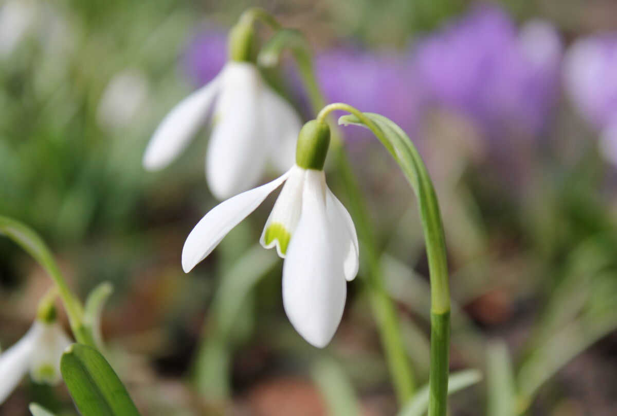 Латвия: погода прояснится
