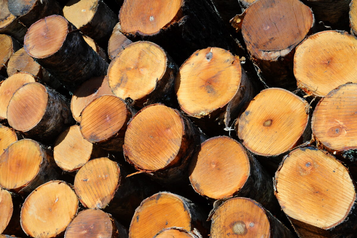 Латвия: лес остаётся в стране