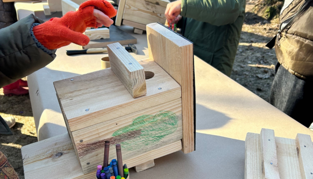 Латвия: готовим птичьи домики