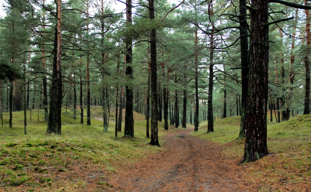 Латвия: дело о долгосрочных договорах