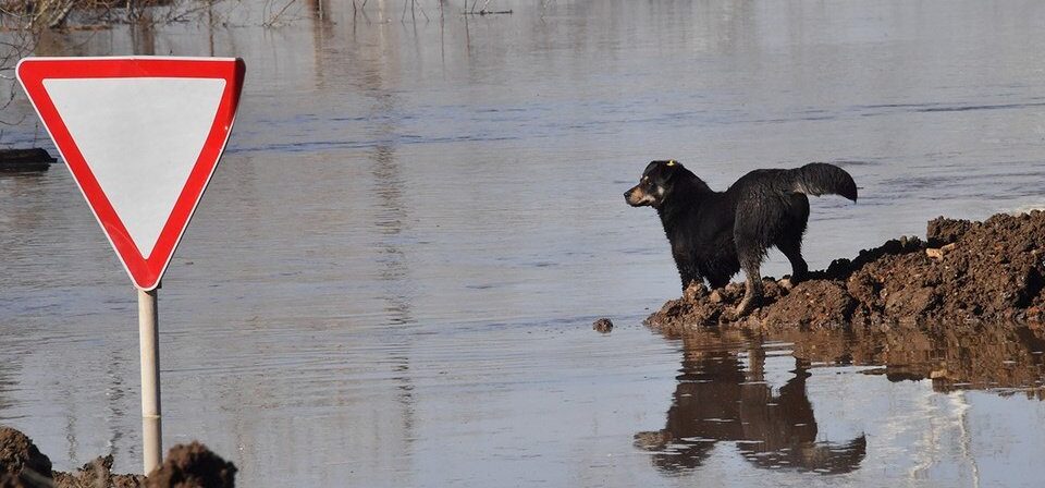 Латвия: вовремя подготовиться к наводнениям