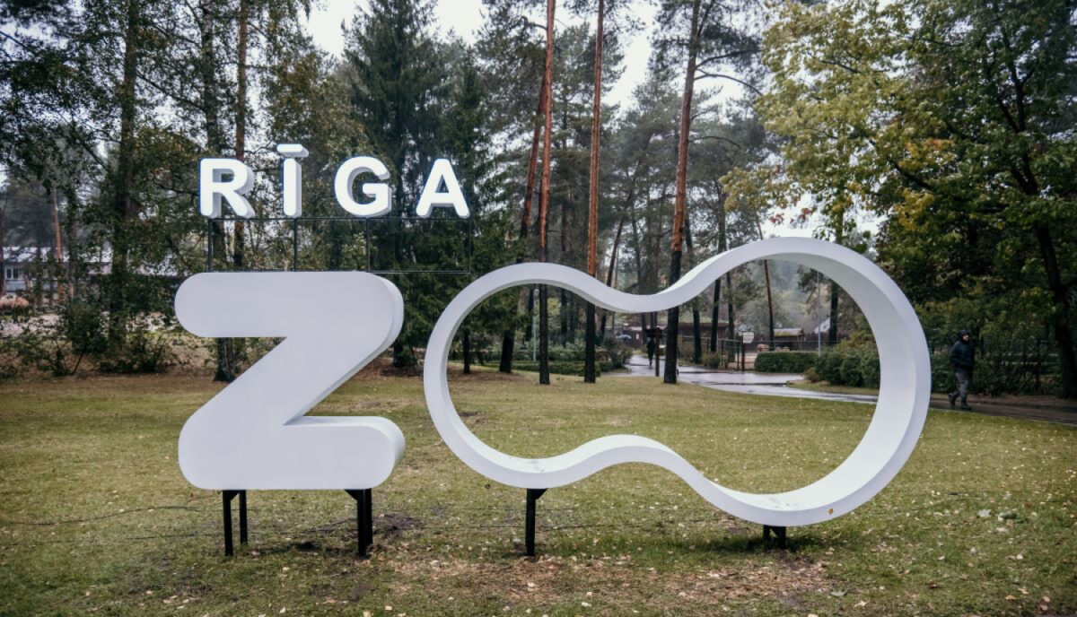 Латвия: очень дикое объединение