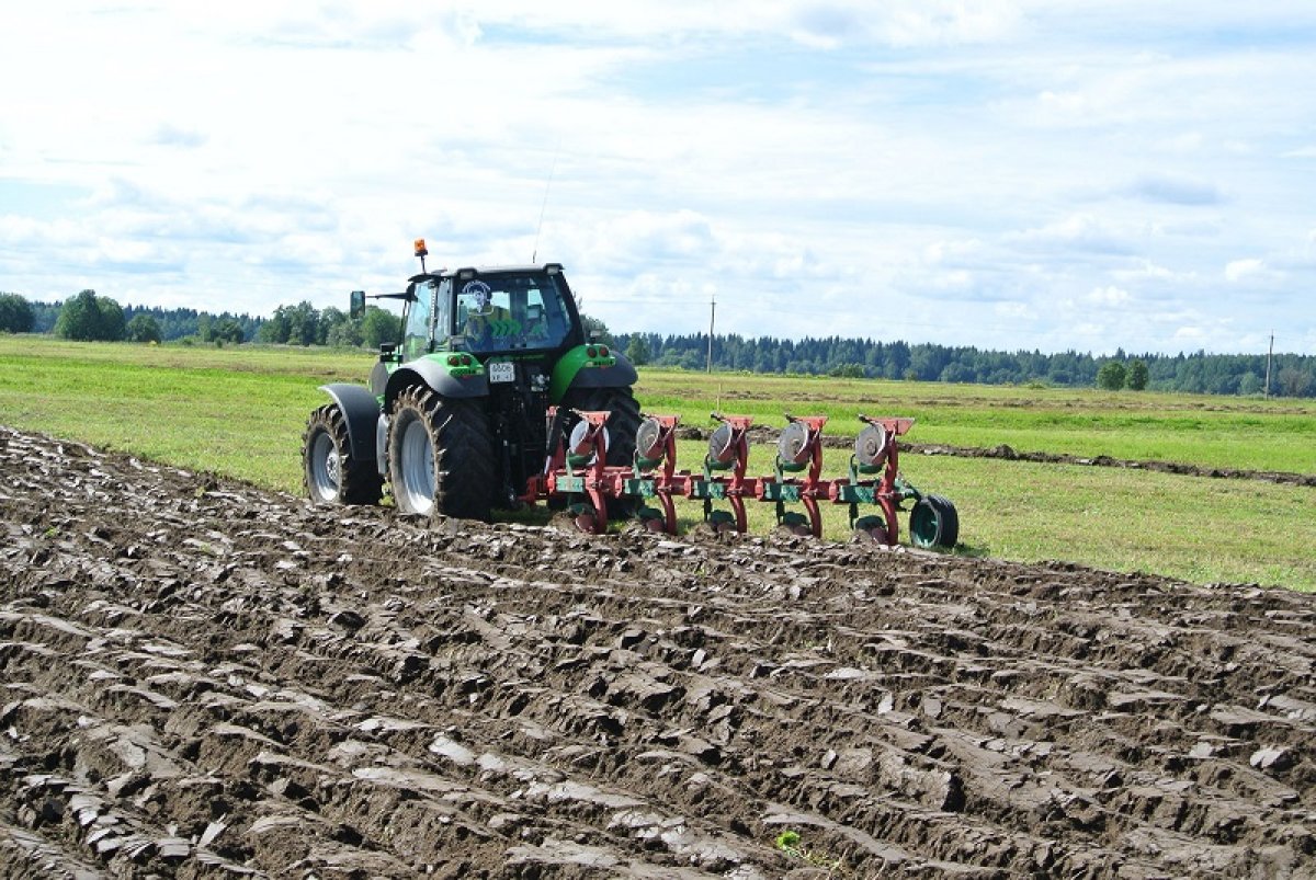 Латвия: фермеры ждут решений