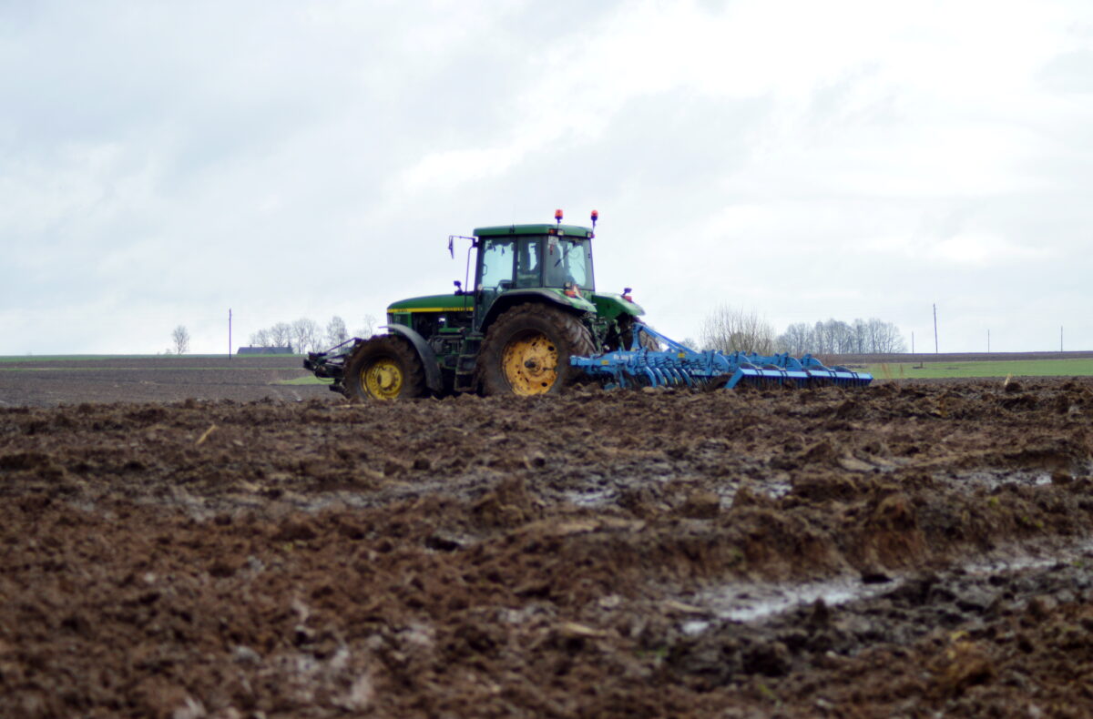 Латвия: рост цен во благо?