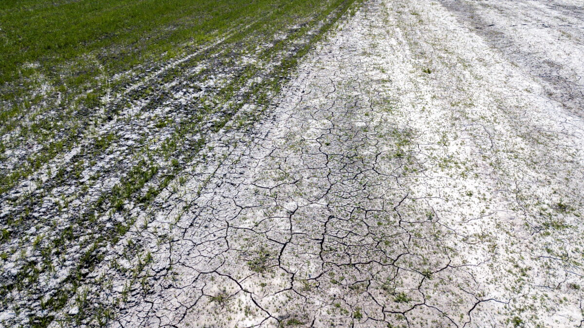 Латвия: оказывается, у нас – засуха?!