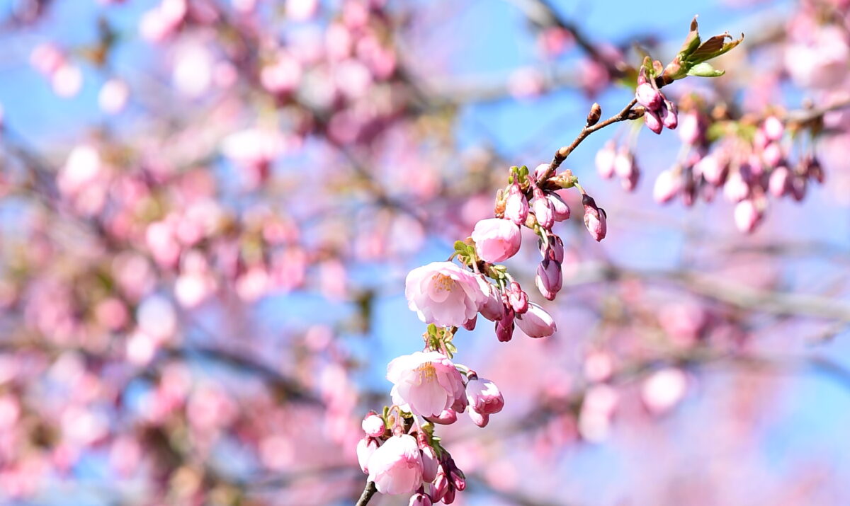 Погода: пока ещё солнечно