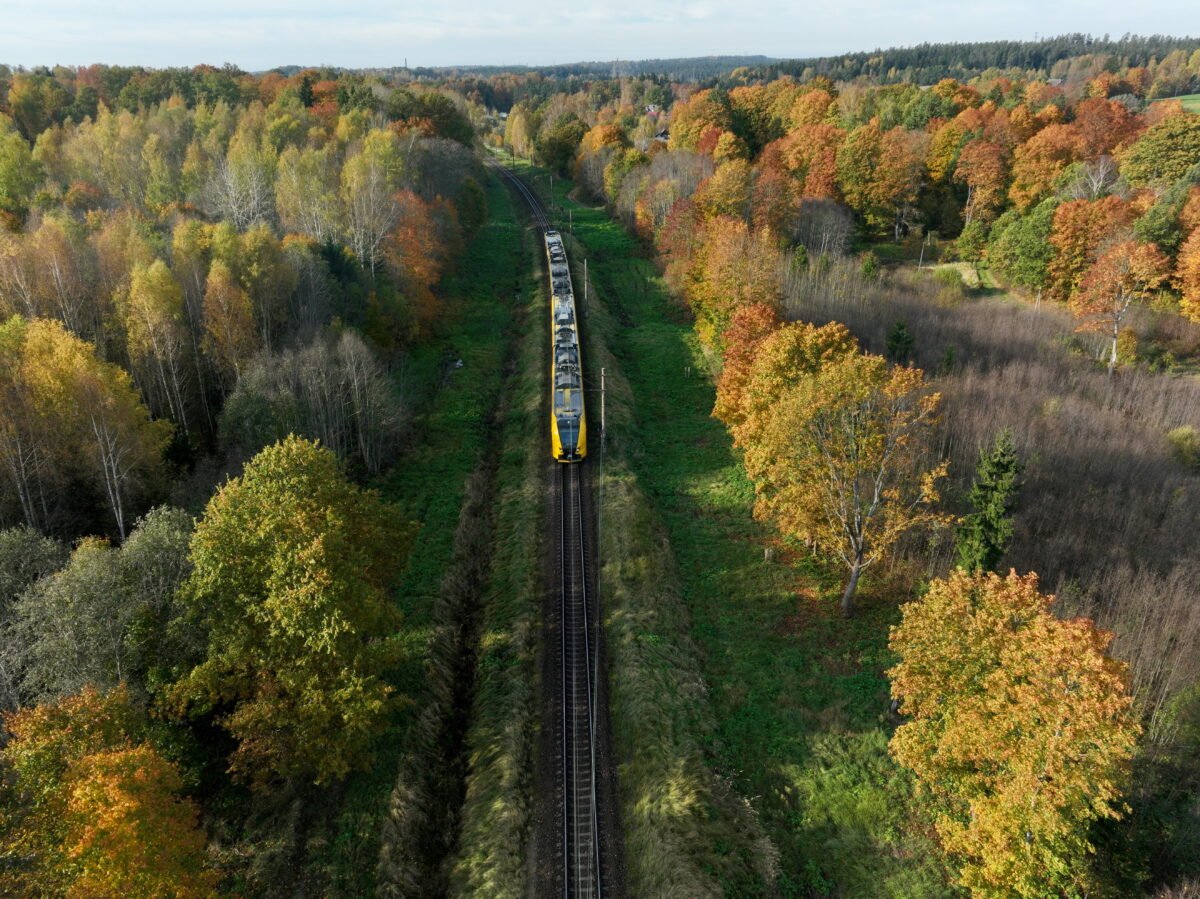 Латвия: поезда станут деревьями