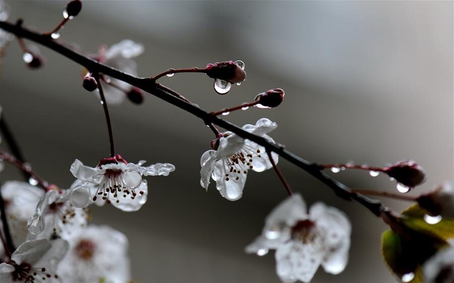 Латвия: циклон придёт