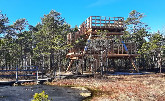 Латвия: прогуляемся по болоту