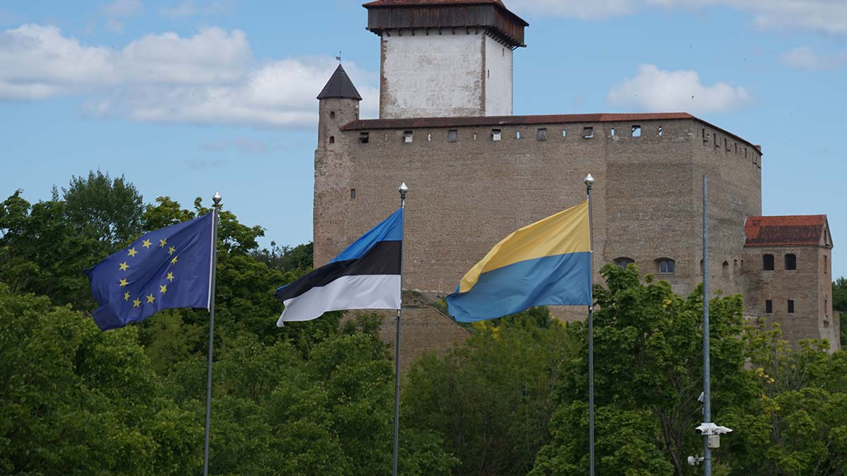 Эстония: Украина, мы ждём контроля!